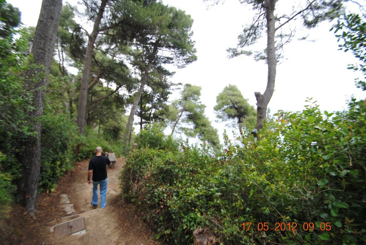 imagini hotel CORFU HOLIDAY PALACE